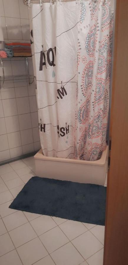 Halle, Top -Preise, 79 Qm Sd Fewo, Eg, Wahlweise Mit 1- 3 Dz, Tv Lounge, Kueche, Bad Wc Einfach Und Gut, Langzeitmieter Vb Preise Halle  Εξωτερικό φωτογραφία